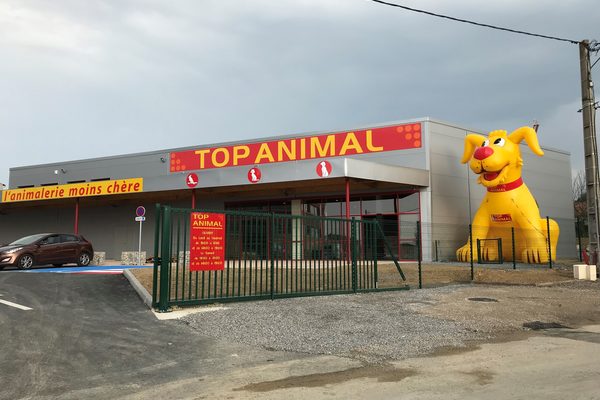 Orden de la mascota del perro amarillo Mega Top Animal. Compre promocionales hinchables en línea en JB Hinchables España