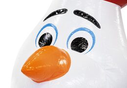sneeuwpop