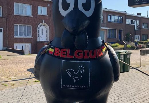 Compre mascotas grandes de pollo negro Poule y Poulette inflables. Obtenga su articulos publicitarios en línea ahora en JB Hinchables España