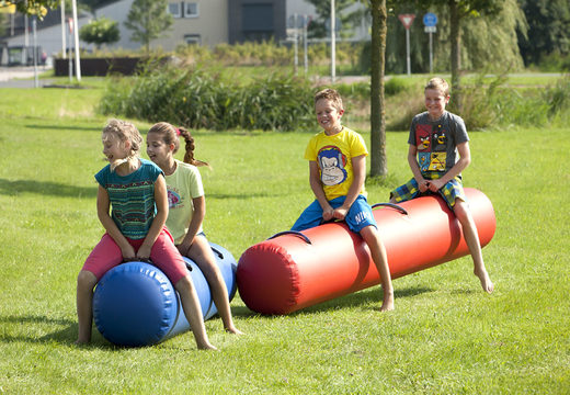 Compre un saltador azul y rojo para niños y mayores. Ordene artículos inflables en línea en JB Hinchables España