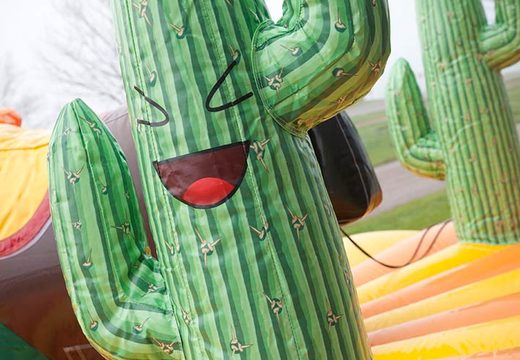 Detalle de cactus en rodeo inflable